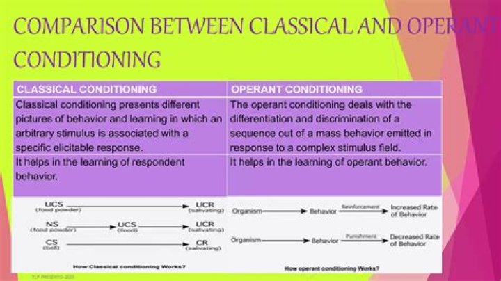 The Essential Guide To Understanding Classical Vs. Operant Conditioning
