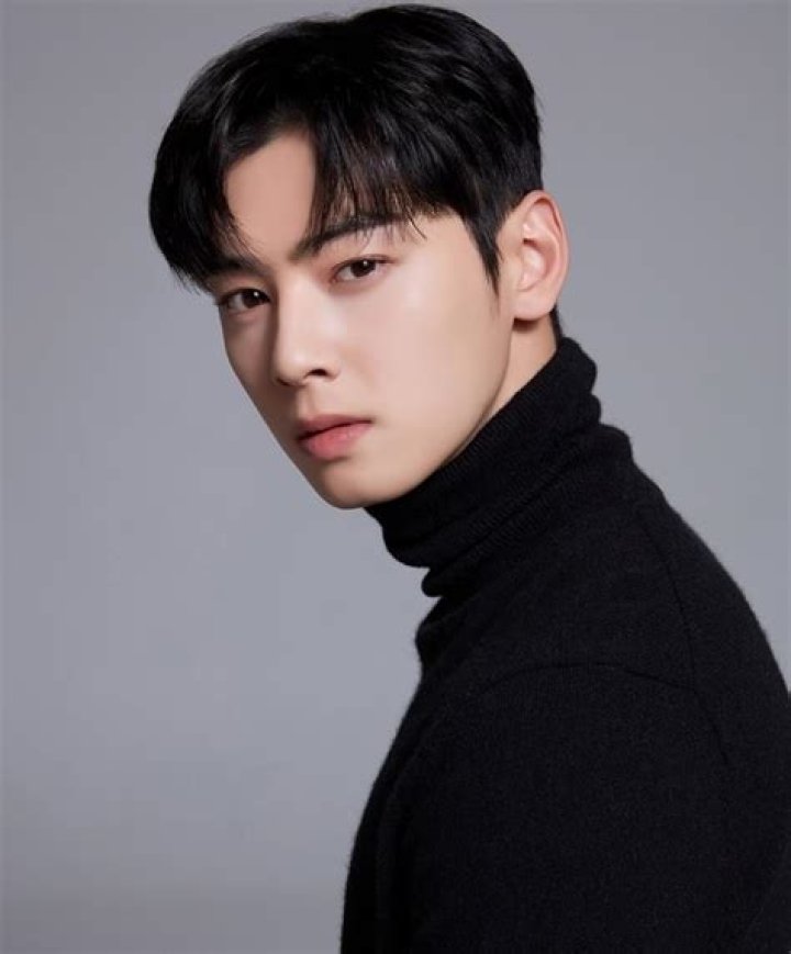 The Rumored Wedding Date Of Popular Actor Cha Eun Woo
