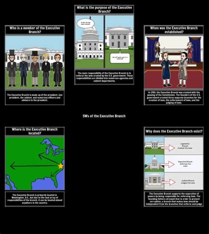 Understand The Executive Branch's Role: A Comprehensive Guide
