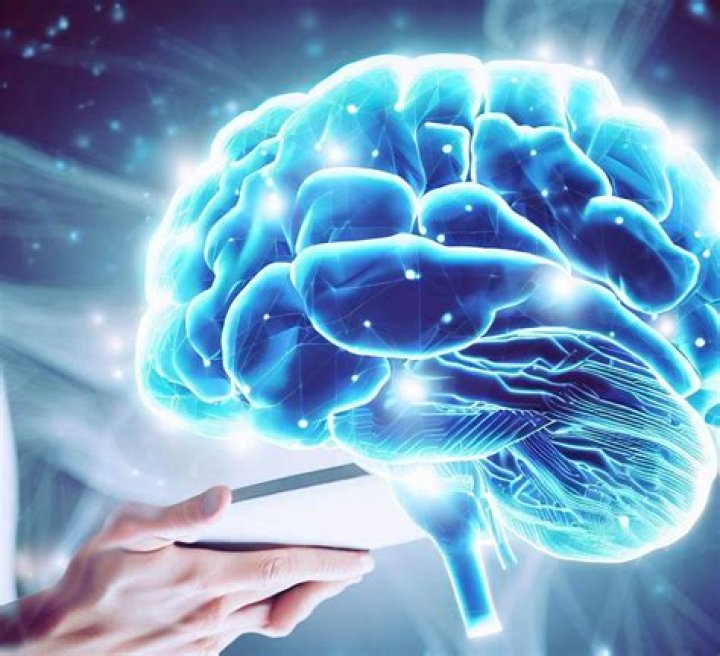 Unraveling The Factors And Significance